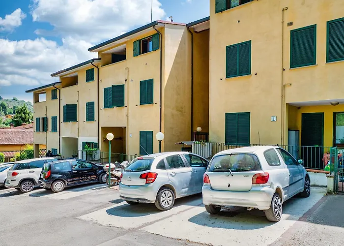 Guesthost - Bright With Garden